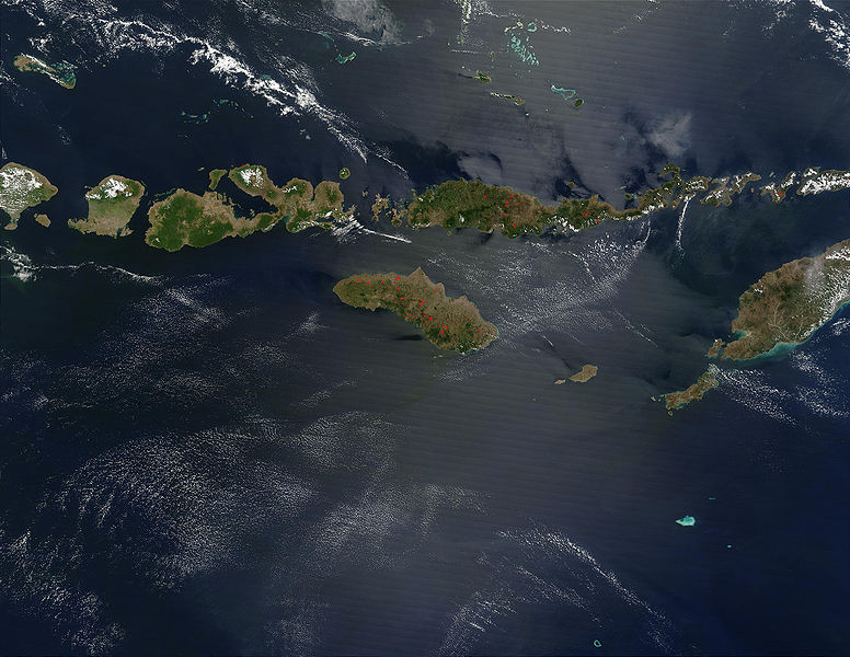 Снимок острова Флорес из космоса