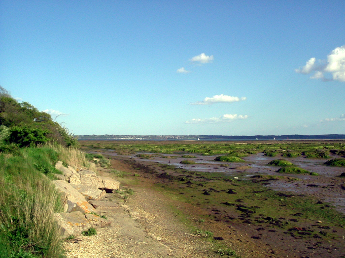 Солончаковое болото недалеко от парка Лепе, вдалеке виден остров Уайт