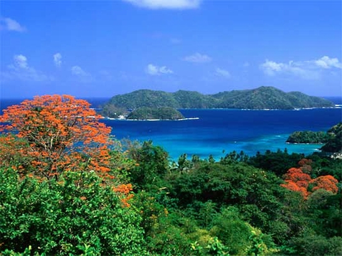 Остров Тринидад летом