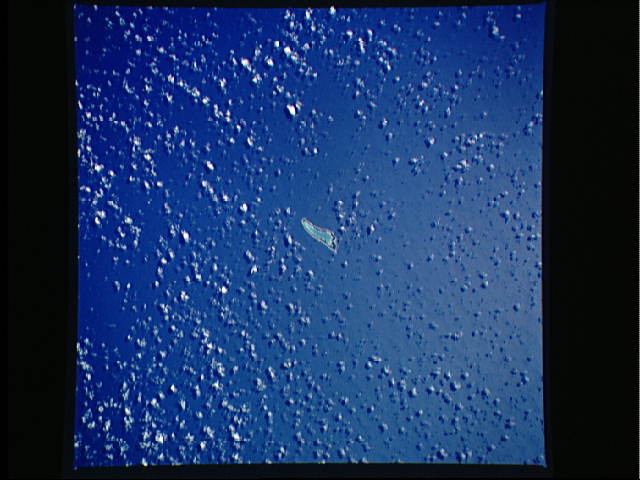 Снимок с космоса атолла Никумароро