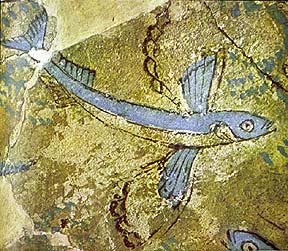 Рисунок Летающая рыба на острове Милоса