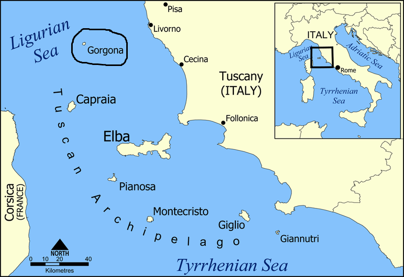 Остров Горгона на карте