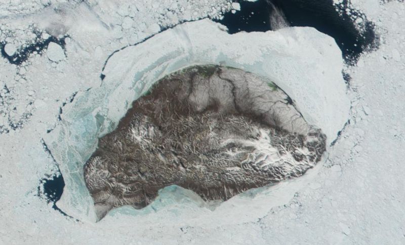 Снимок острова Врангеля из космоса