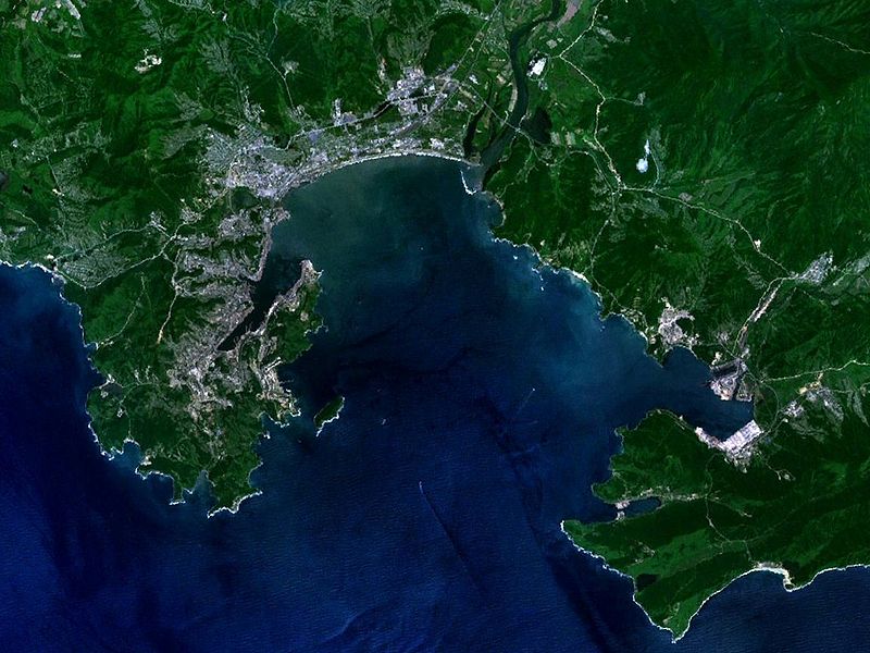Вид на остров Лисий с космоса