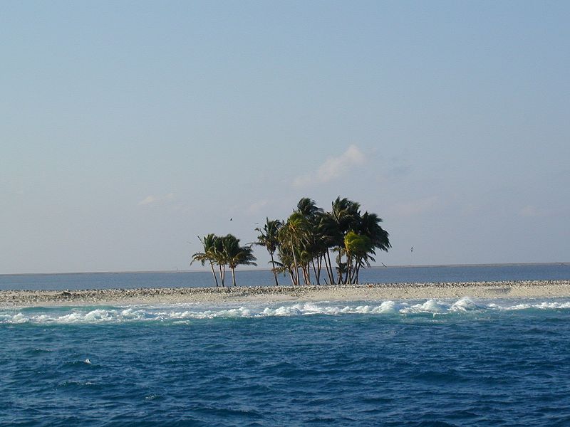Кокосовые пальмы на острове Клиппертон