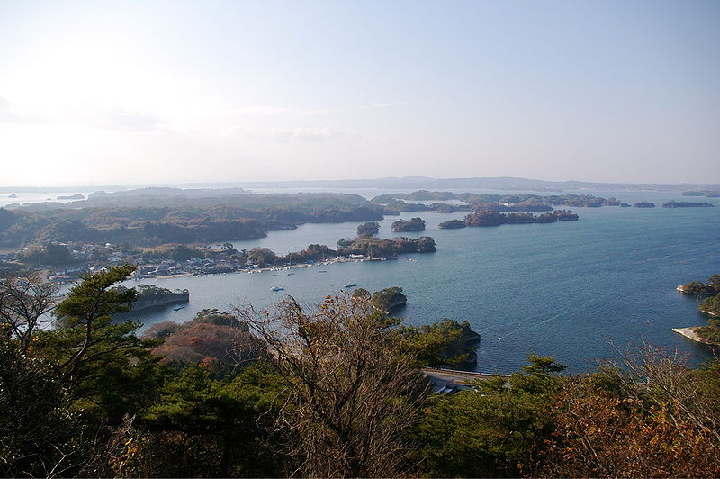 Вид из Отакамори - сокан