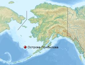 Острова Прибылова на карте