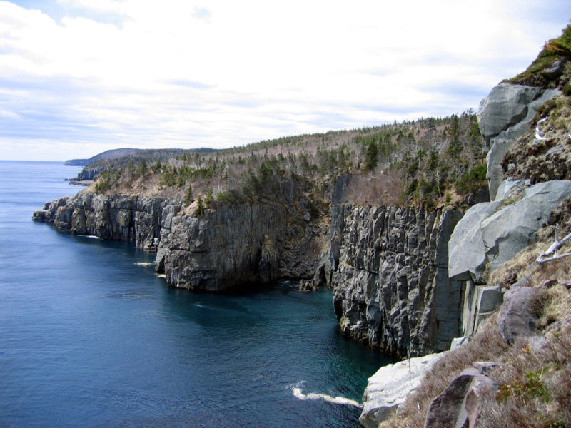 Скалистый берег острова Ньюфаундленда
