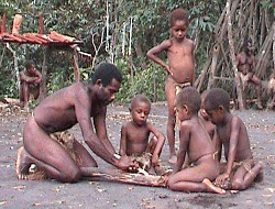 Папуасско-меланезийские племёна на острове Новая Гвинея